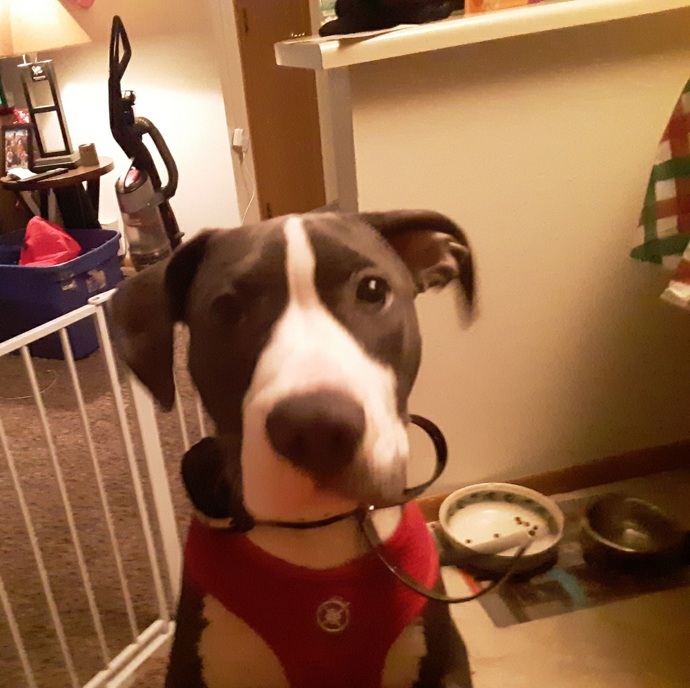 Meet your Posher, Lane